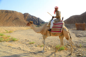 Quad Biking Adventure with BBQ Dinner in Gouna, Hurghada