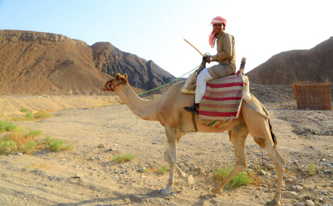 Quad Biking Adventure with BBQ Dinner in Gouna, Hurghada