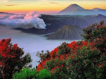 Private Tour : Bromo Ijen Tour From Bali
