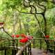 Bird Park