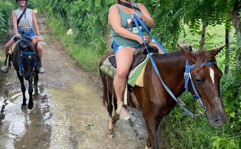 Adventure Combo Tour: Buggy, Horseback, Cenote & Macao Beach in Punta Cana