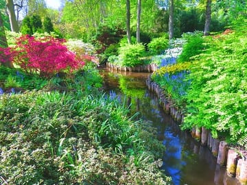 Day Tour to Keukenhof Gardens and Zaanse Schans from Amsterdam