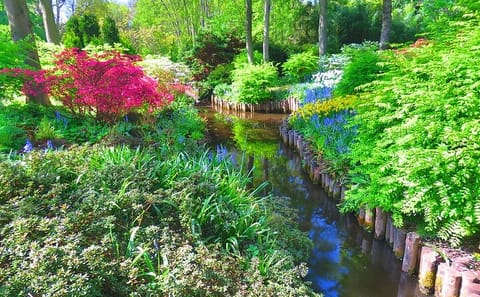 Day Tour to Keukenhof Gardens and Zaanse Schans from Amsterdam