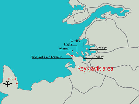 Reykjavík Sea Angling Gourmet, photo 12