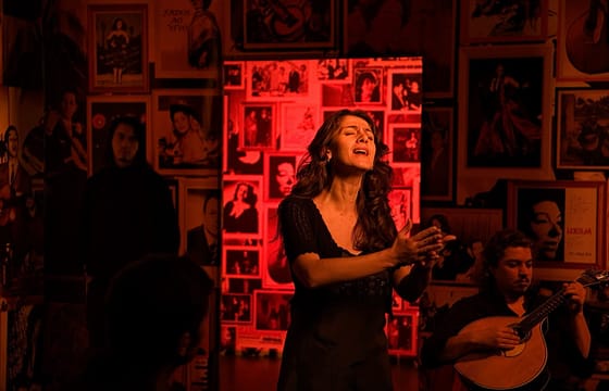 Lisbon Fado Night Tour with Dinner