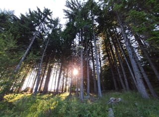 Private Vitosha Mountains Hiking with Black peak & Dragalevtsi Monastery