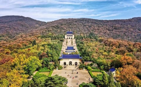 Private Day Tour of Nanjing's Historical Highlights