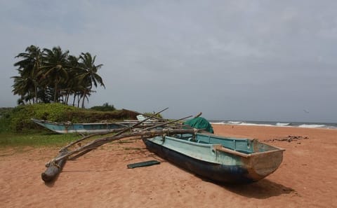 10-Day Cultural and Beach Tour of Sri Lanka's Coastline