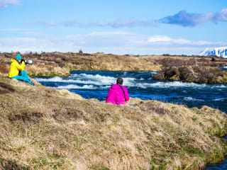 Lake Mývatn Nature reserve Private Birdwatching tour, photo 6