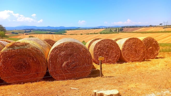 Val d'Orcia Region Private Wine Tasting Tour