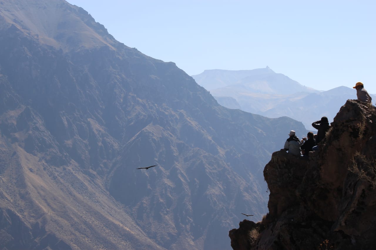 2-Day Flight of Condor on Colca Canyon from Arequipa 9
