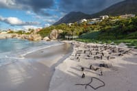 Cape Town: Private Day Trip to Cape Peninsula with a Local 10