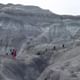 La Leona Petrified Forest Hiking Tour from El Calafate