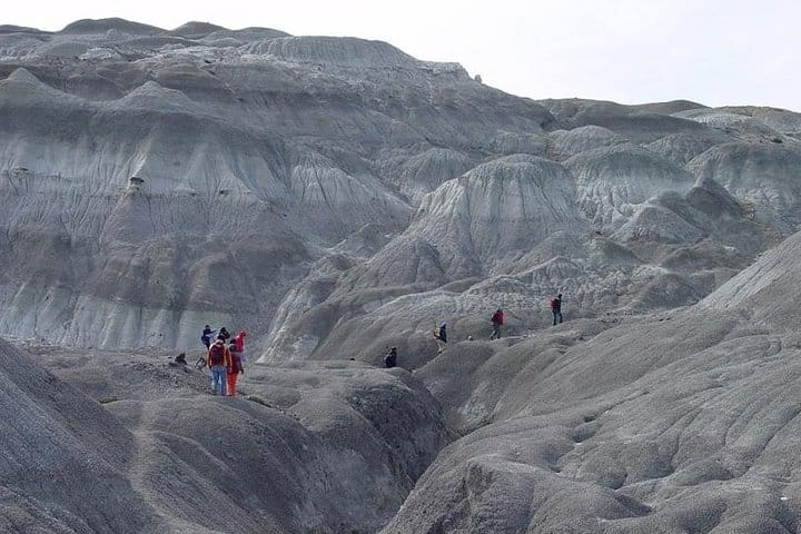La Leona Petrified Forest Hiking Tour from El Calafate