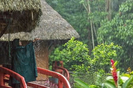 Unique Sustainable Amazon Experience in Ecuador: Culture & Wildlife Encounter