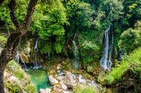 Discover Our Fields and Lake Full-Day Shared Tour from Nice 1