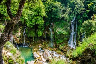 Discover Our Fields and Lake Full-Day Shared Tour from Nice