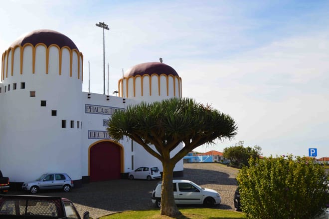 Day Trip to Serra do Cume & Algar do Carvao photo 6