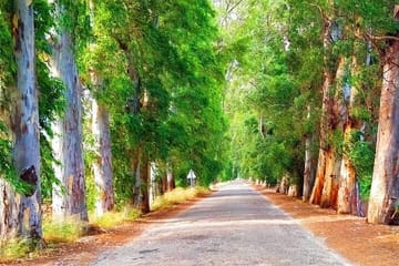 Marmaris Yuvarlakcay and Azmak River Tour