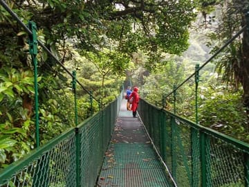 Monteverde Cloud Forest Hanging Bridges Guided Walk