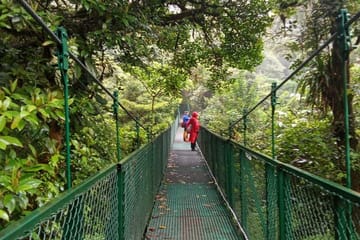 Guided Hanging Bridges Walk in Monteverde Cloud Forest