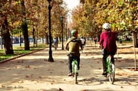 Half day Santiago City Bike Tour  4