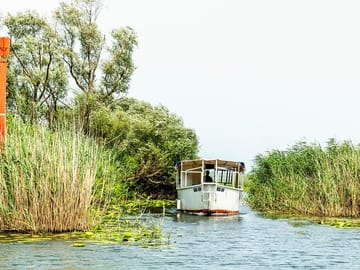 The pristine beauty of Lake Skadar captivates travelers seeking tranquility and wonder.