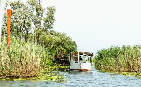 Boat Tour of Skadar Lake and Morača River in Virpazar
