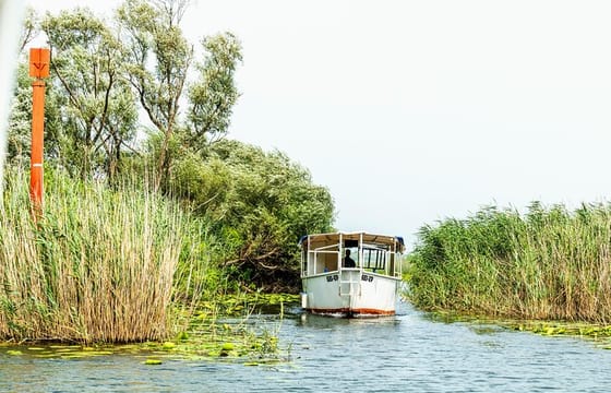 Short Skadar Lake Boat Tour to Morača River with Drinks