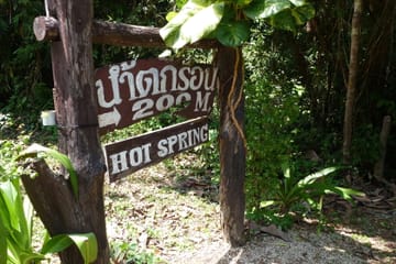 The Wonders of Thailand’s Last Lowland Rainforest