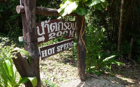 Guided Day Tour of Krabi Noi's Lowland Rainforest