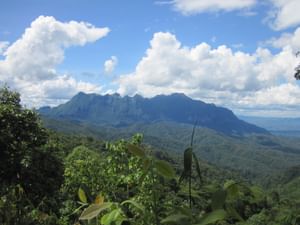 "BIKE 5" Full-Day "The Himalayan" Mountain Bike XC,DH route, Chiang Mai