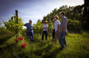 Winery Tour & Tasting on Padua Hills