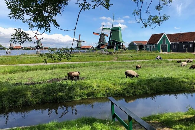 Zaanse Schans Windmills Volendam Small-Group Tour from Amsterdam photo 2