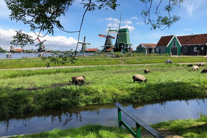 Zaanse Schans Windmills Volendam Small-Group Tour from Amsterdam 2