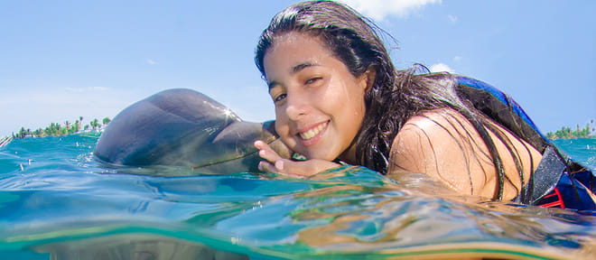 Dolphin Explorer - Explorer 6