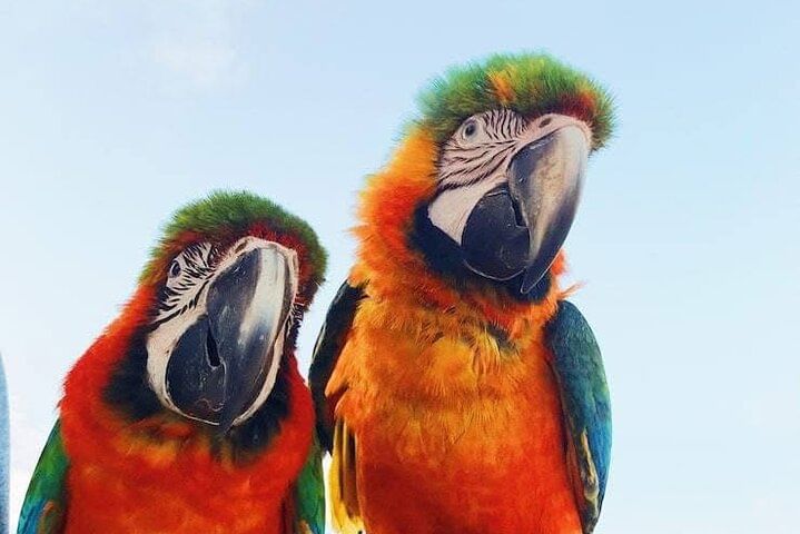 Private Sedan roundtrip- Puntacana airport to bávaro & Puntacana