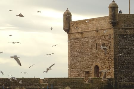 Guided Day Trip to Essaouira: Explore Historic Forts & Coastal Charm