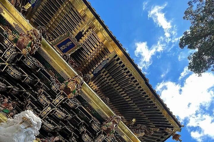 Nikko Toshugo Shrine and Nature View 1-day Tour | from Tokyo