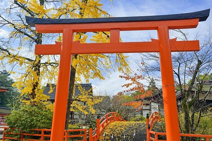 Full Day Guided Kyoto Cultural Tour