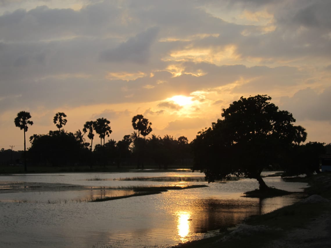 Leisure at Mud House and Mannar Story 07 Nights and 08 Days 4