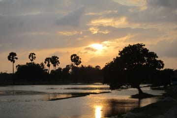 Birdwatching and Wildlife Safari in Colombo, Sri Lanka