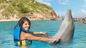 Dolphin Encounter + Photo Package at St. Kitts