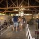 Cu Chi Tunnels and Mekong Delta 1 Day Tour With Small Group