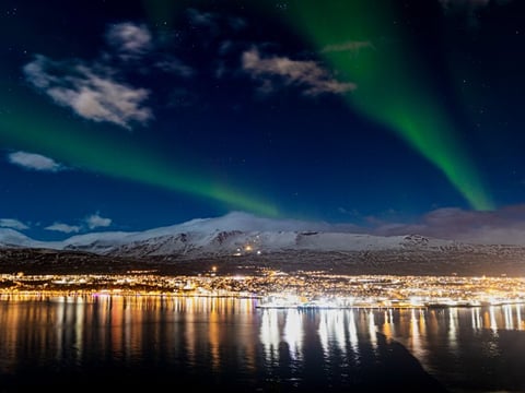 Private Adventure! Arctic Odyssey: Huskies and the Aurora Borealis!, photo 3