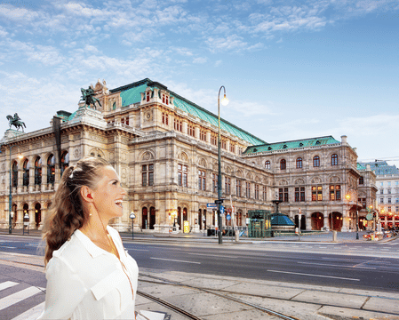 Vienna Cultural Heritage in 1 Day - Walking Tour - Audioguide in 7 languages