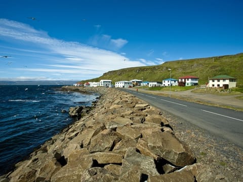 1 Hour Drangsnes Adventure - ATV, photo 3