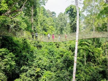 Kakum National Park