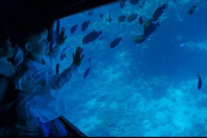 Semi Submarine under water Tour With Transfer in Sharm El-Sheikh