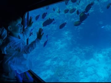 Semi Submarine Underwater Tour in Sharm El-Sheikh